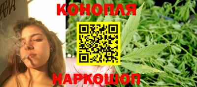 мдпв Гатчина