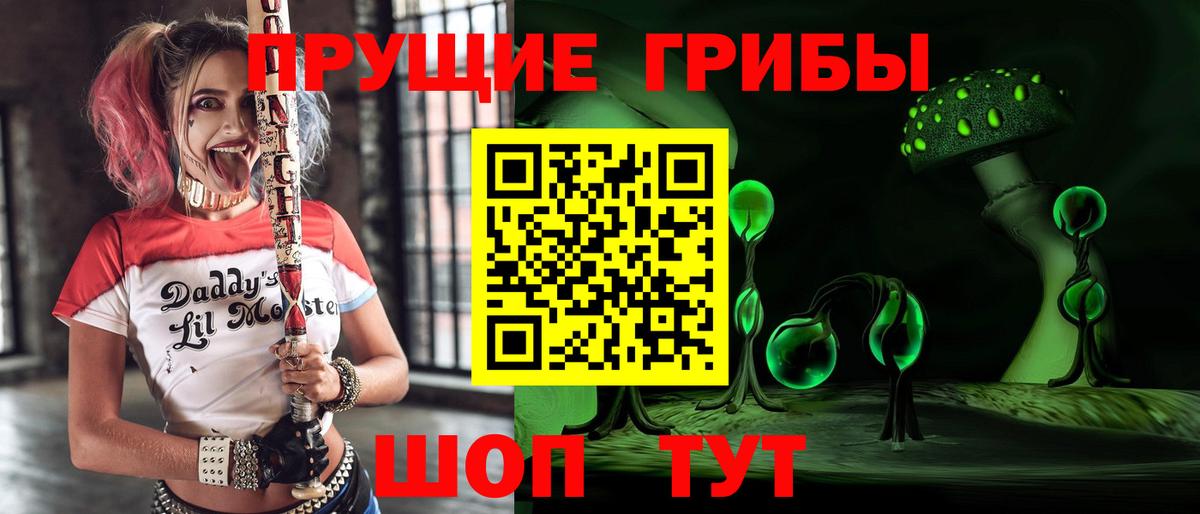 Новочеркасск  сколько стоит  Галлюциногенные грибы Psilocybine cubensis  Вход с VPN  Галлюциногенные грибы мицелий 